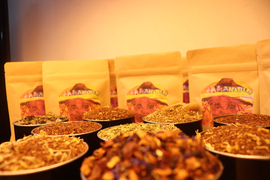 Bissy Tea (Kola Nut Tea) – Natural Cleanser & Energy Tonic