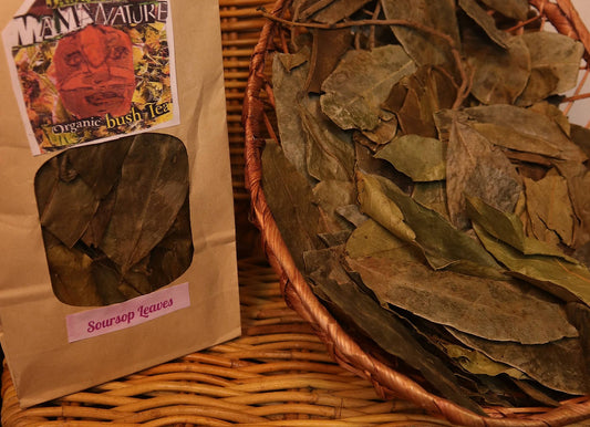 Organic Soursop leaves  (Graviola) herbal Tea for Immune Support Relaxation & Digestive health
